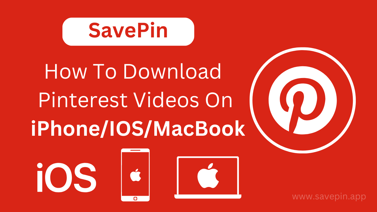 Pinterest Video Downloader  Pinterest video, Video image, Videos