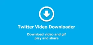 Best Twitter Video Downloader: Top Tools for Seamless Downloads
