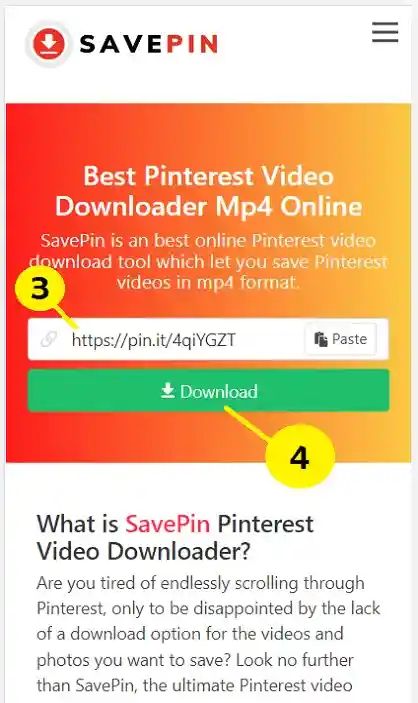 Paste Link in Savepin