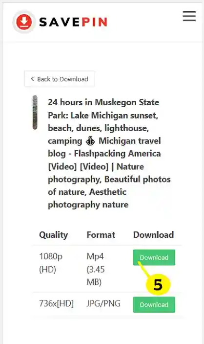 Pinterest Video Downloader: Download Pinterest GIFS & Images Online